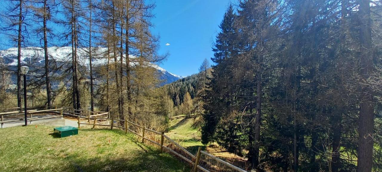 Stelviostay Residence Stelvio Valdisotto Eksteriør billede